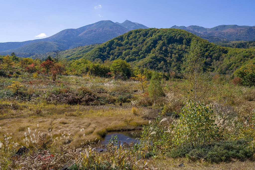 高原の秋景色