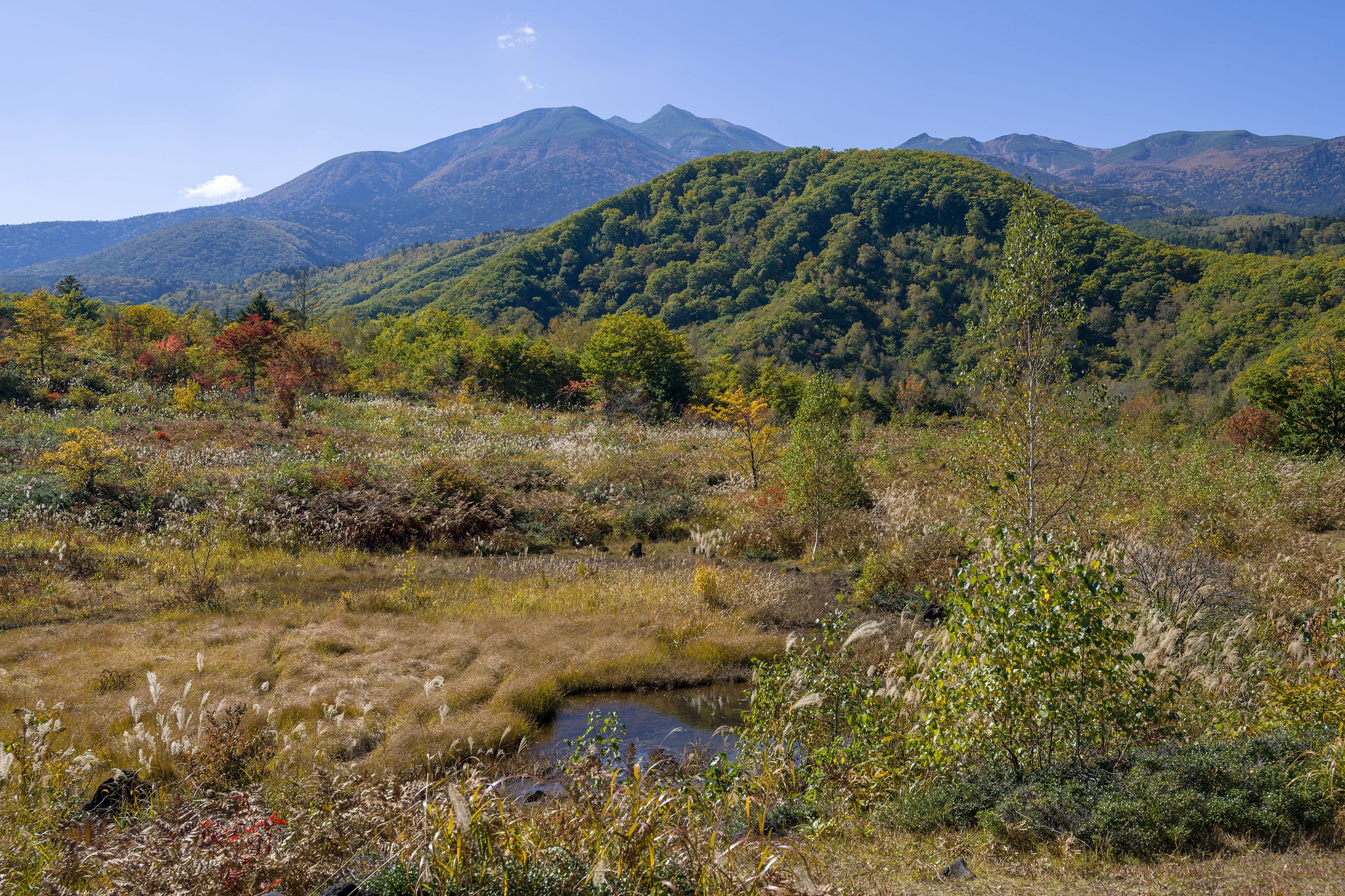 高原の秋景色