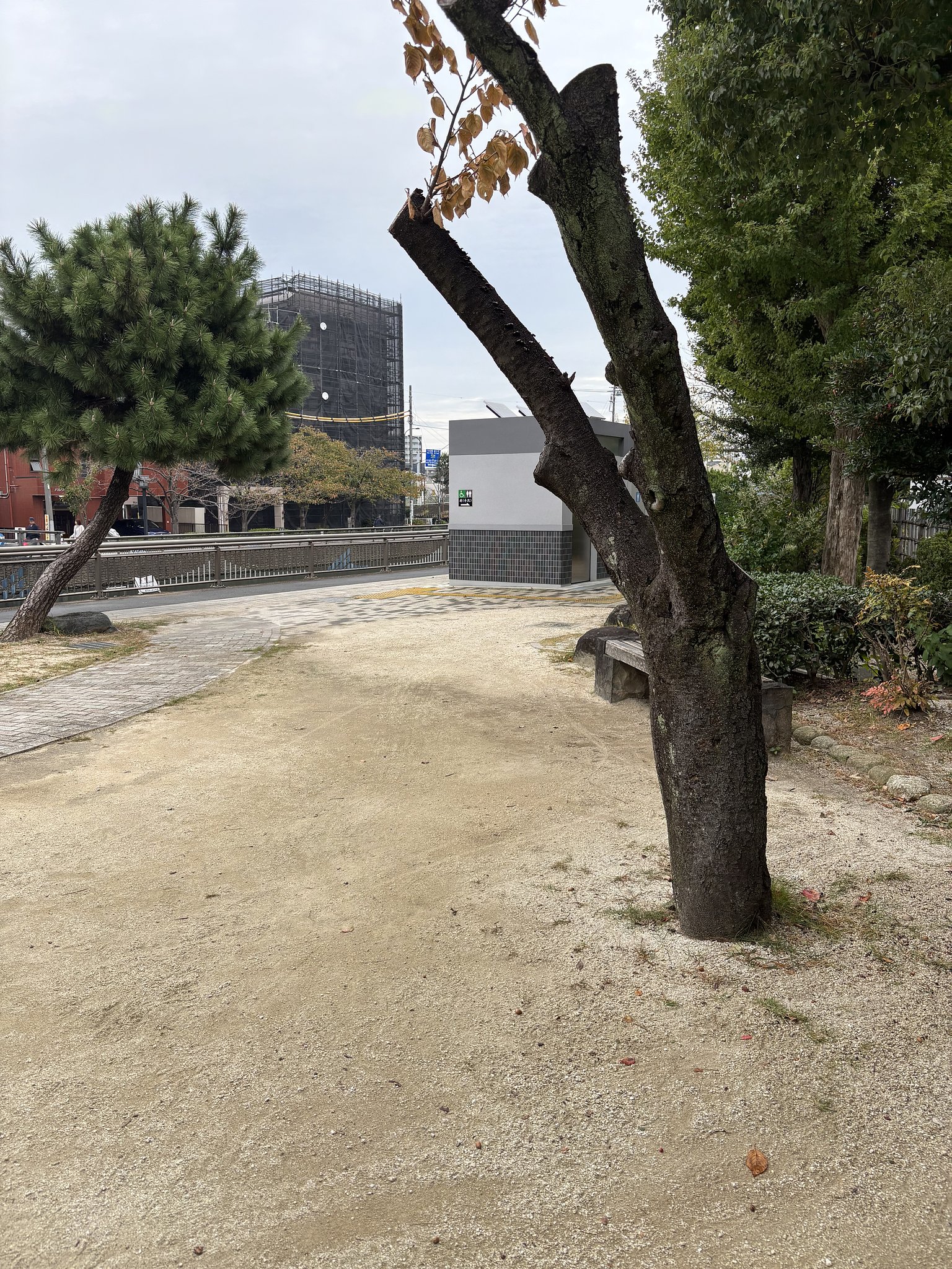 公園