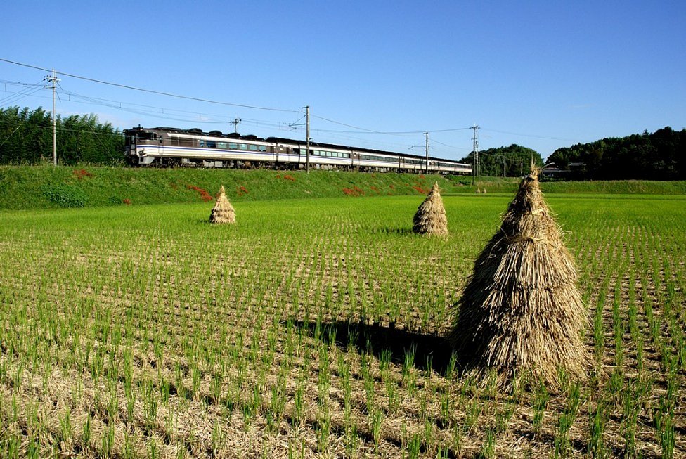 秋の午後の風景