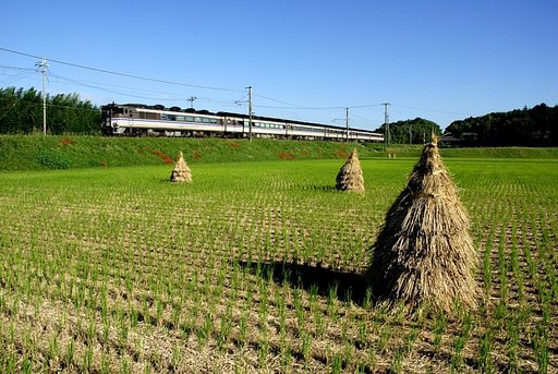 秋の午後の風景