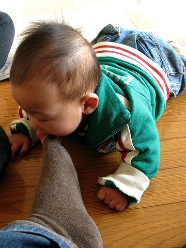 【締】　２００７年１月の写真