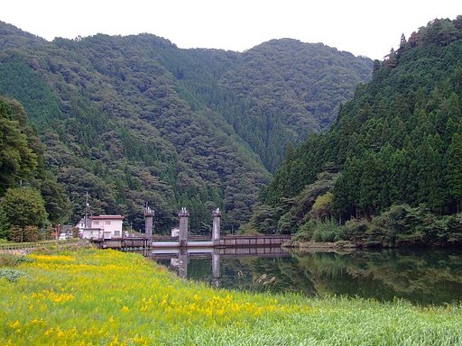 三段峡近くの水辺