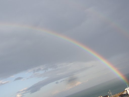 雨が降ったあとにぃ・・・