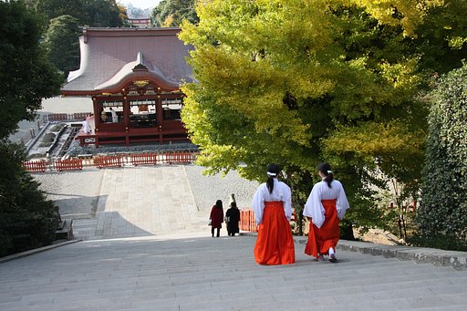 【締】ぶらり旅 in 鎌倉鶴が丘八幡宮にて