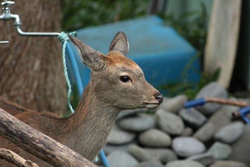少し前なのですが…