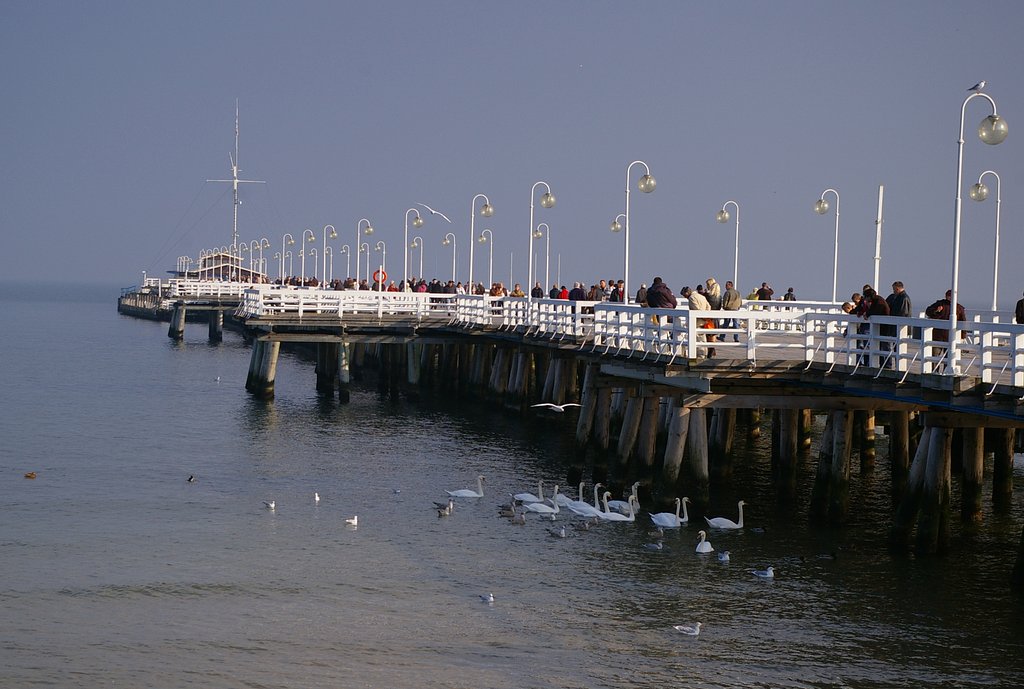 City Sopot 3