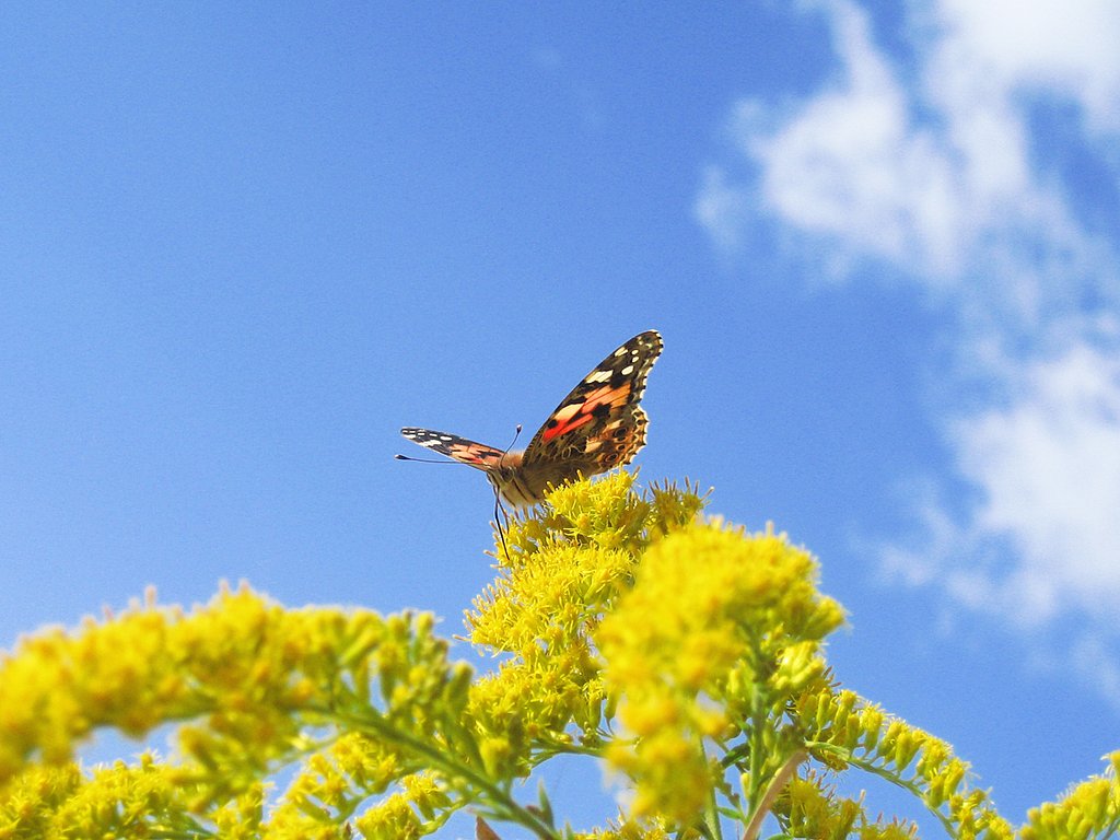 来年もよろしく（＾＾