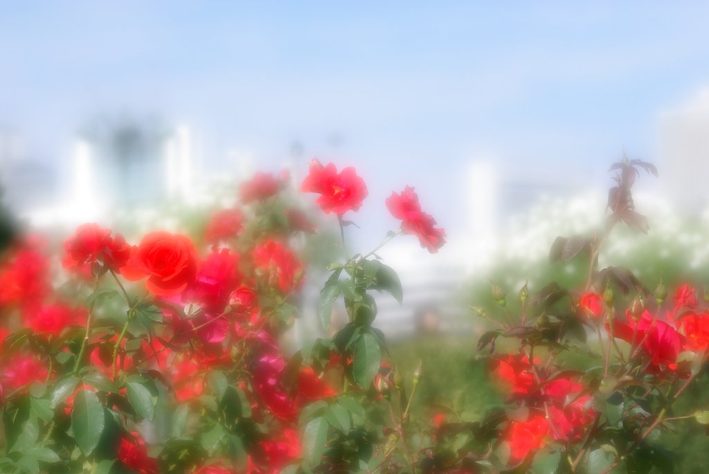 daydream