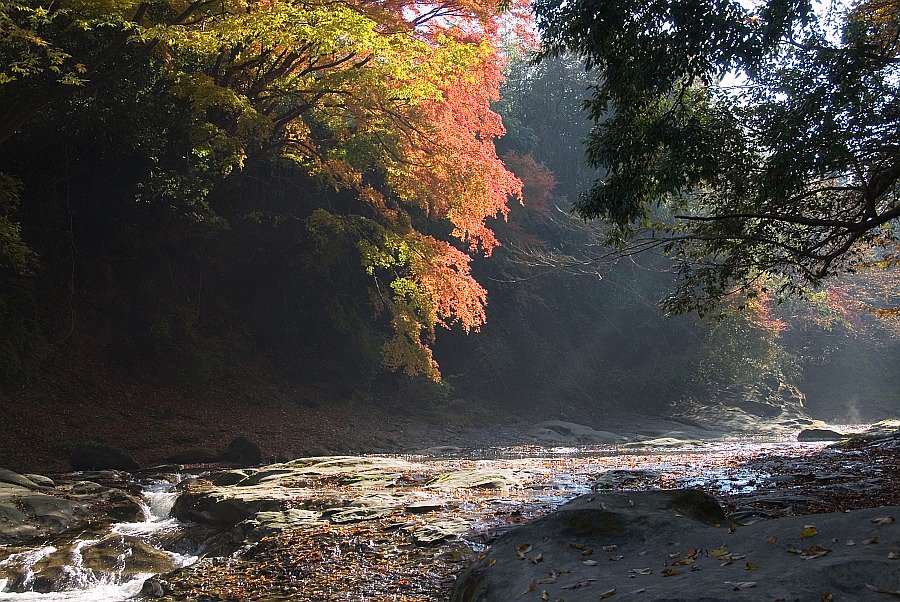 千葉県 養老渓谷１