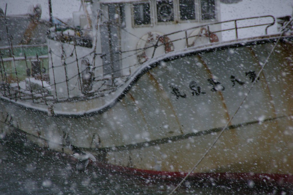 吹雪の正月