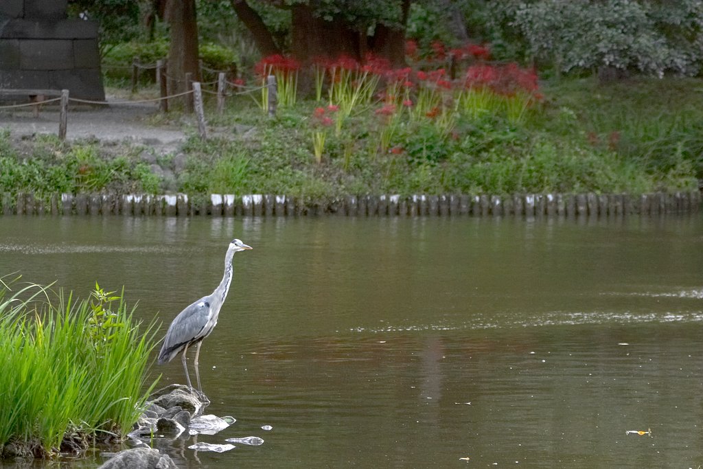 今朝の称名寺