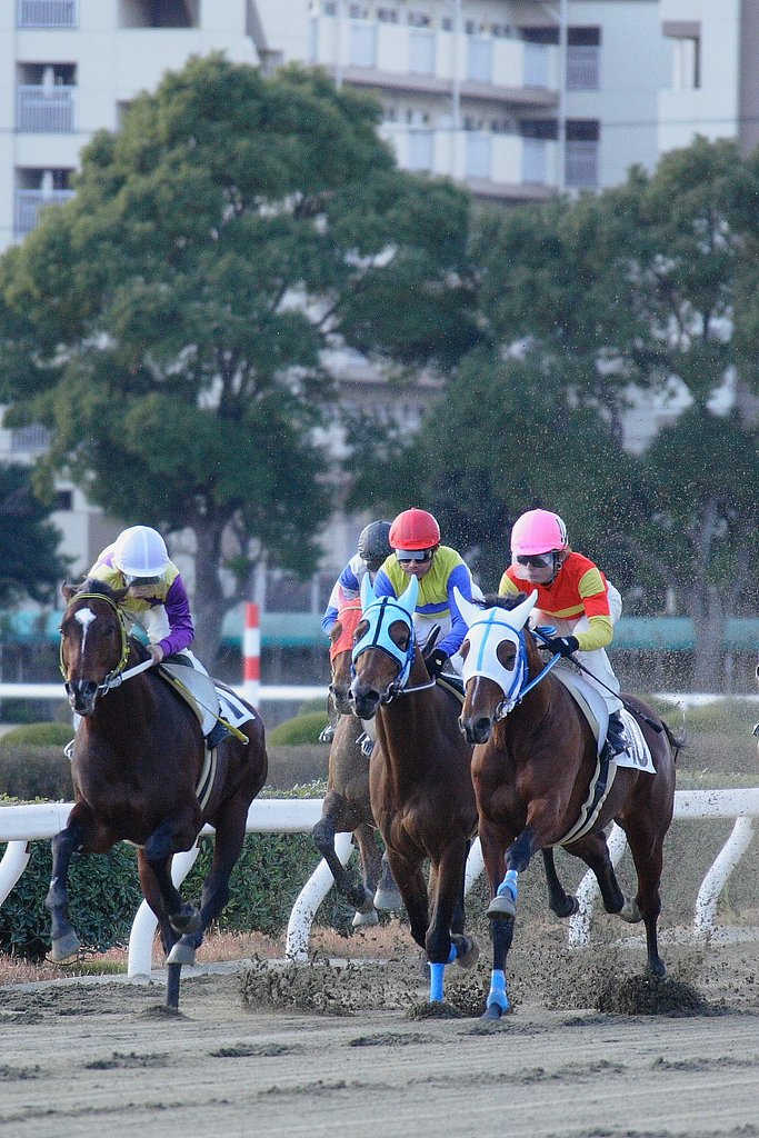 初競馬