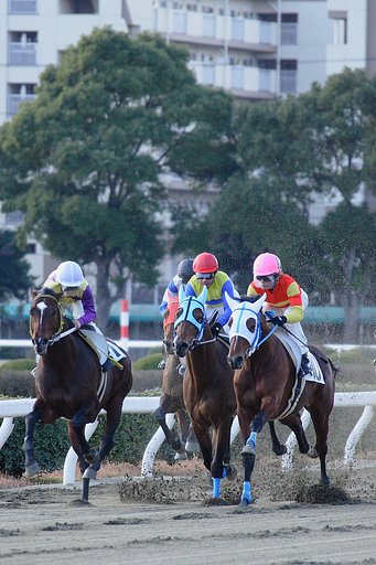 初競馬