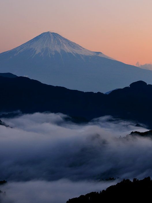 雲上の山