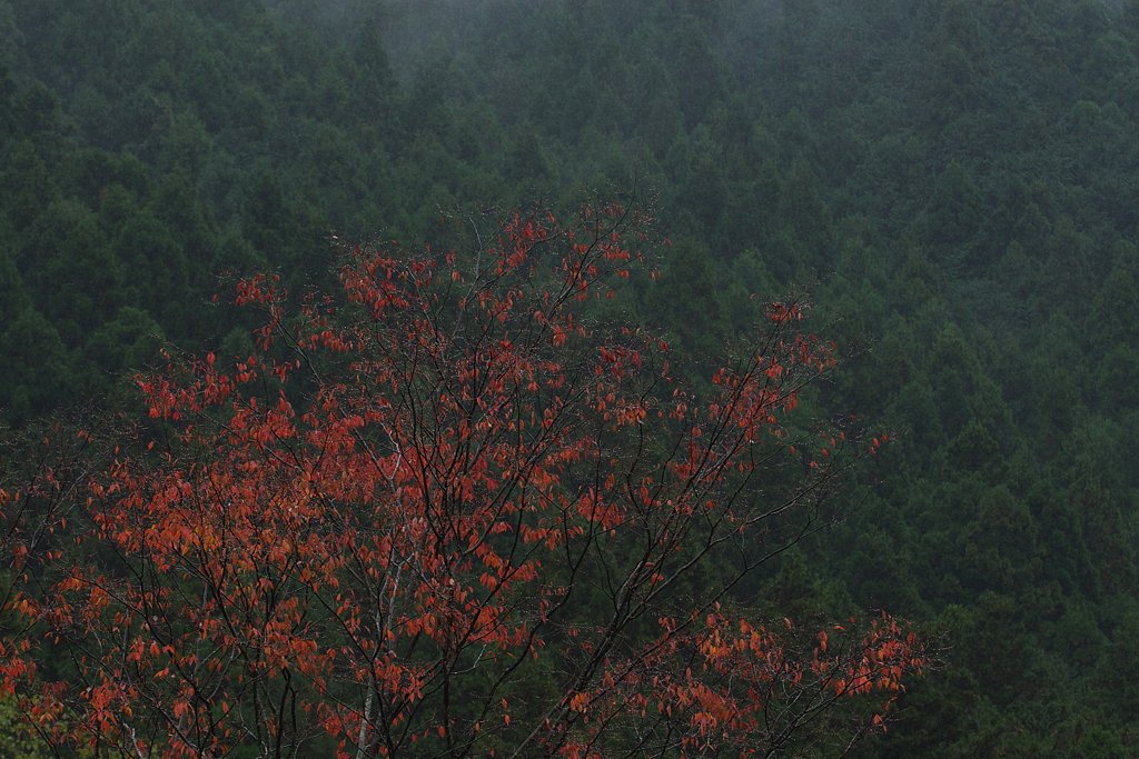 御岳１(marchi)
