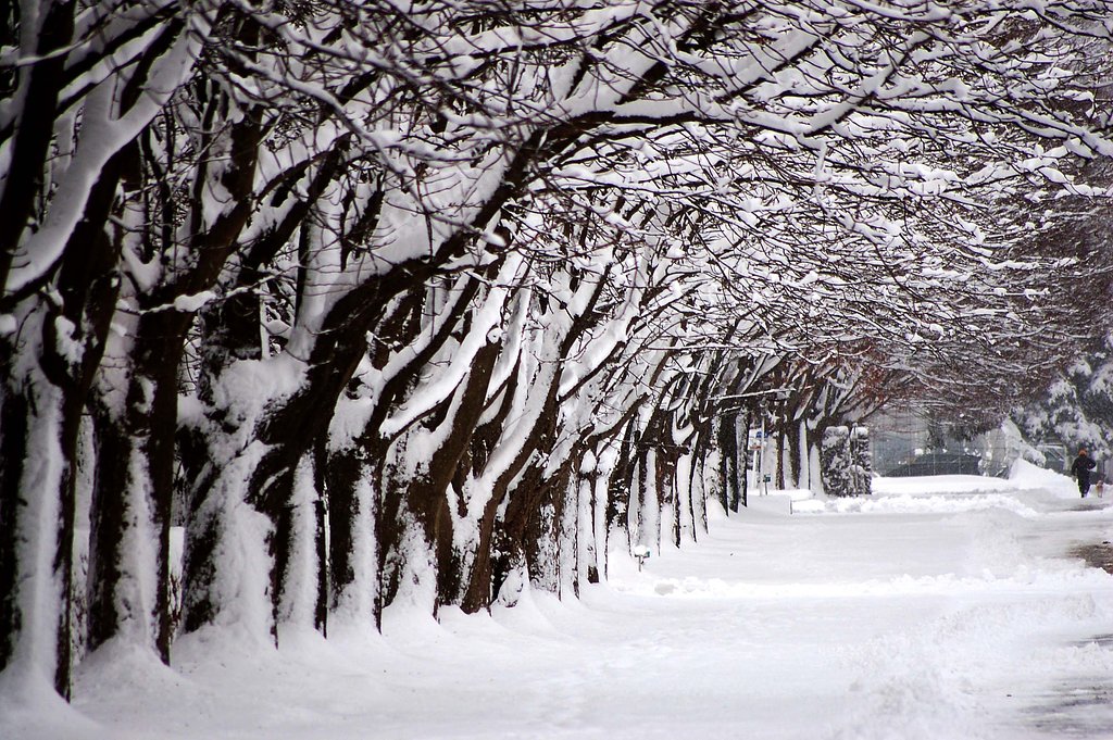 雪の大晦日