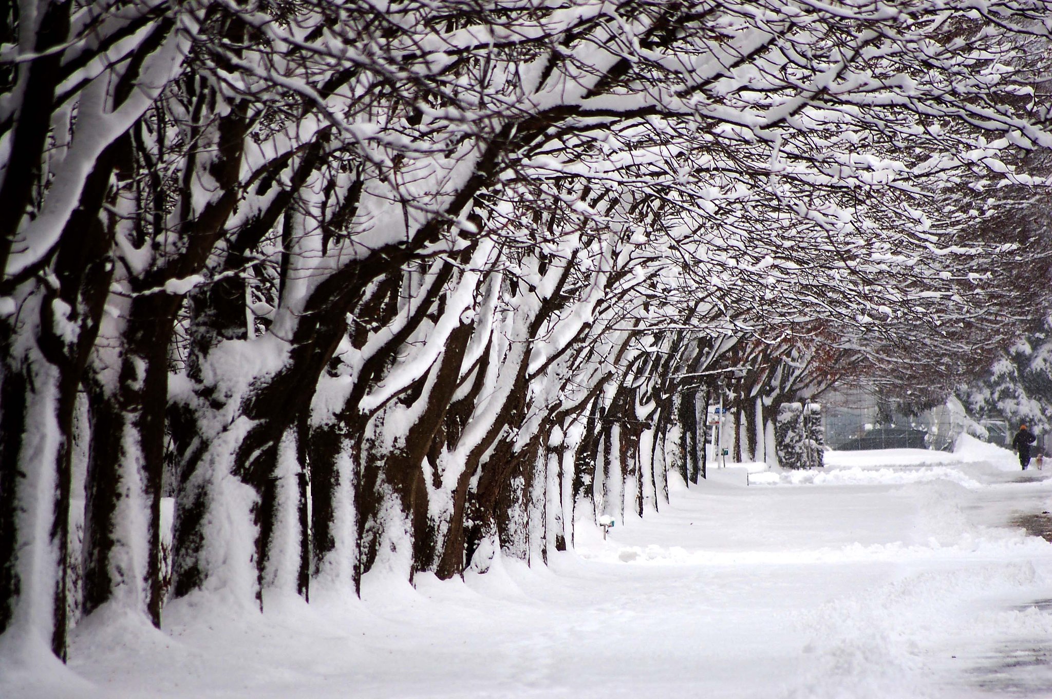 雪の大晦日