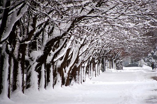 雪の大晦日