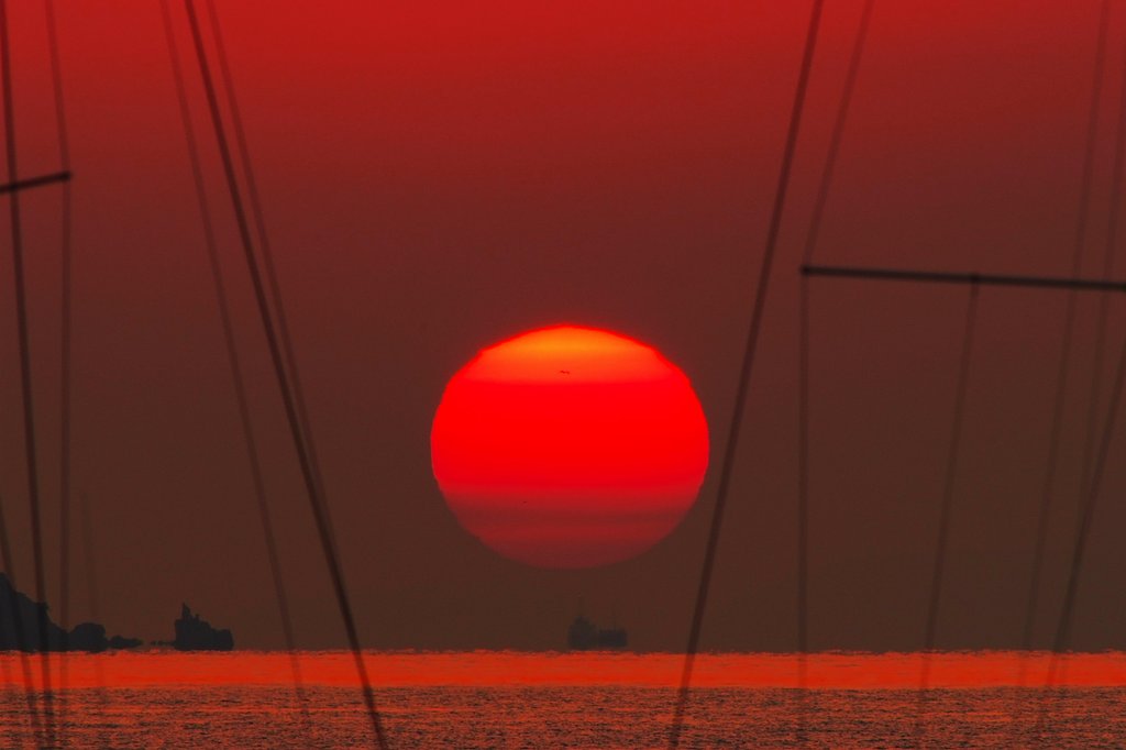 Ai Nikkor ED 600mm F5.6S