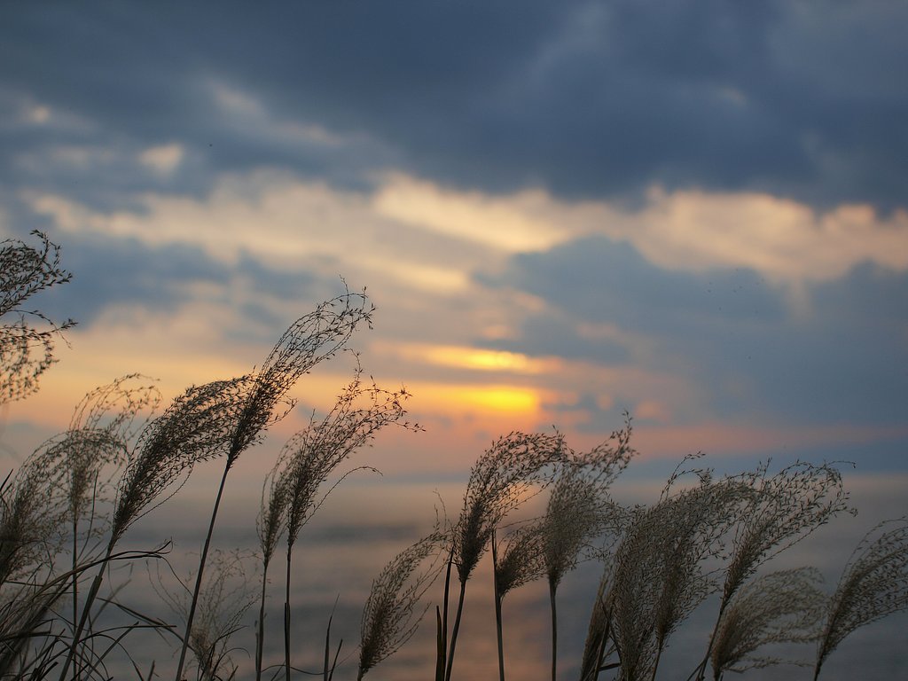 秋の夕日