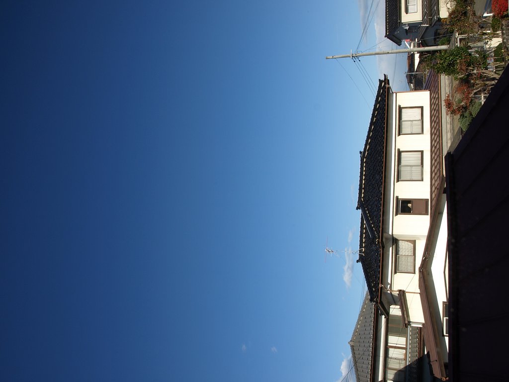 快晴なので