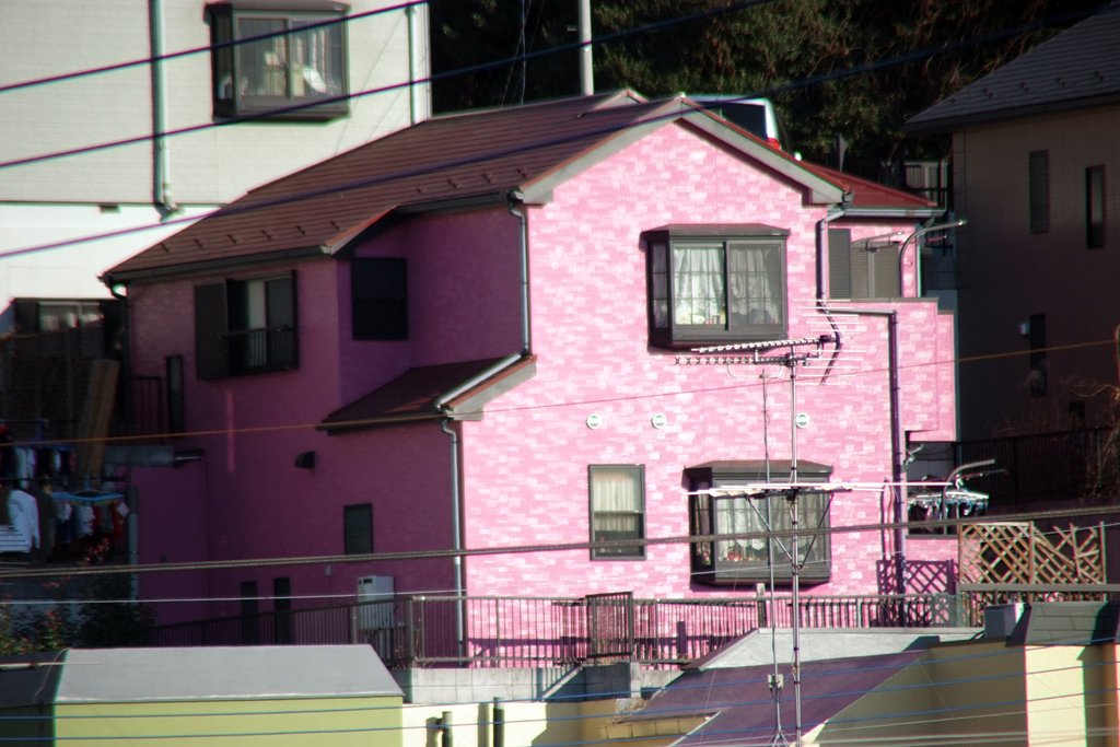 横浜に親戚有る？