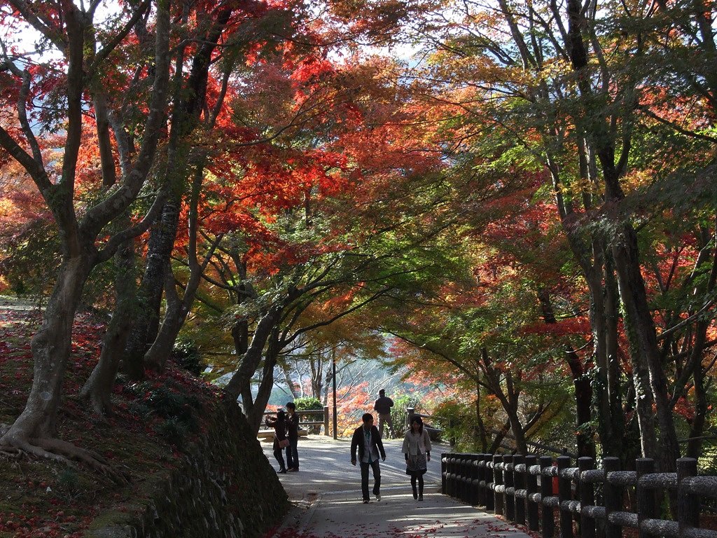 紅葉
