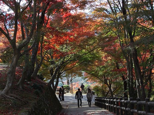 紅葉