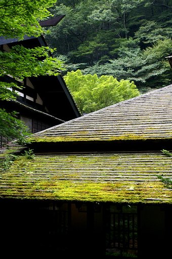 緑の中の秘湯
