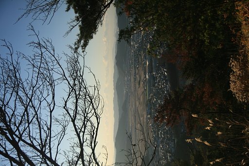 [音]の記憶