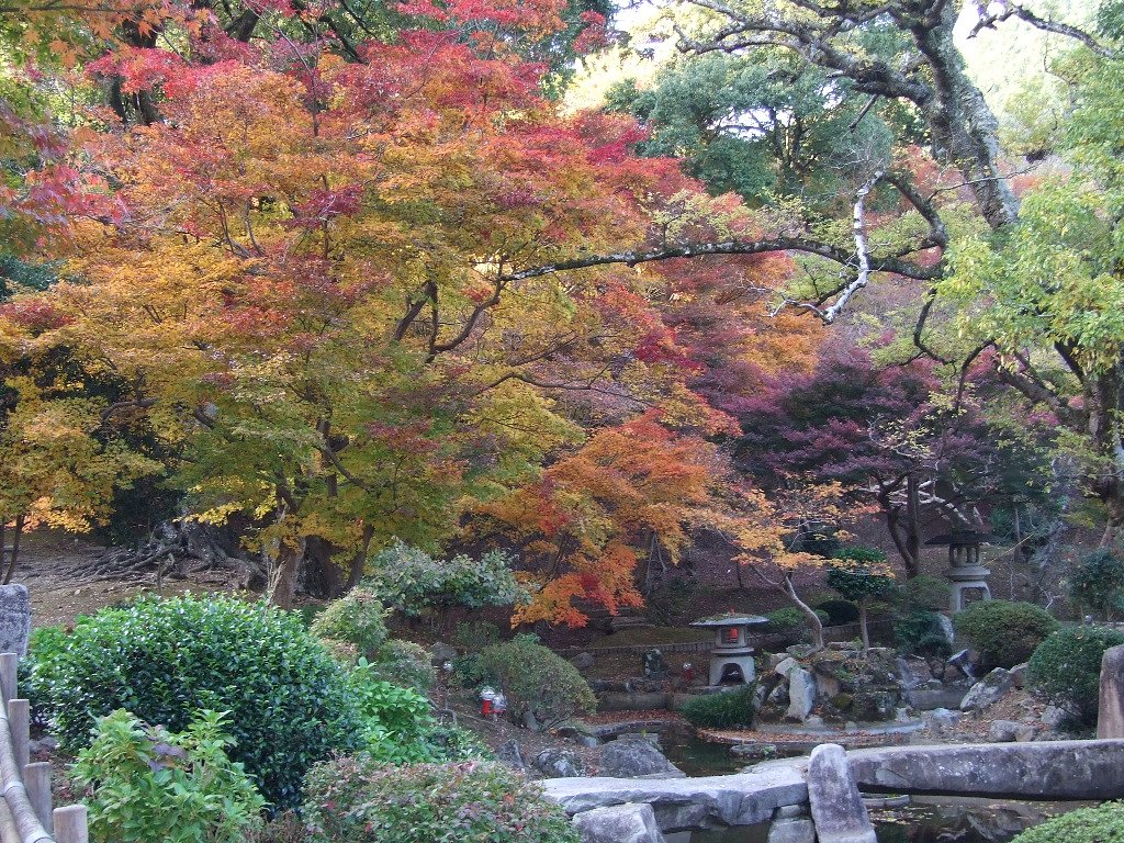 秋の庭園