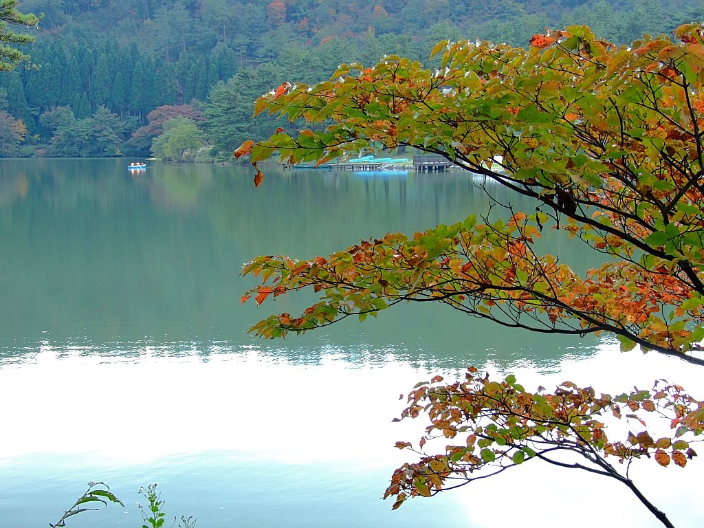 池の辺にて