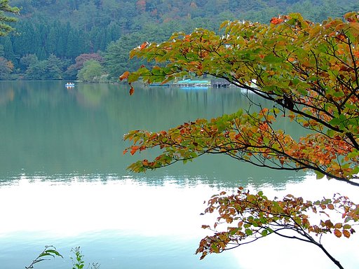 池の辺にて