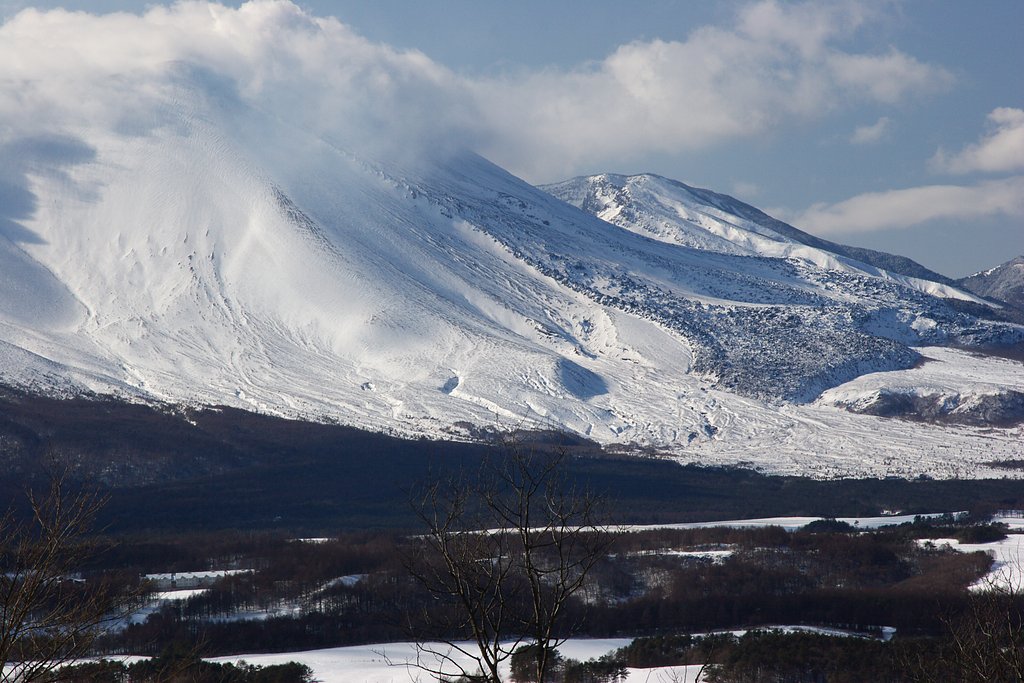 雪化粧