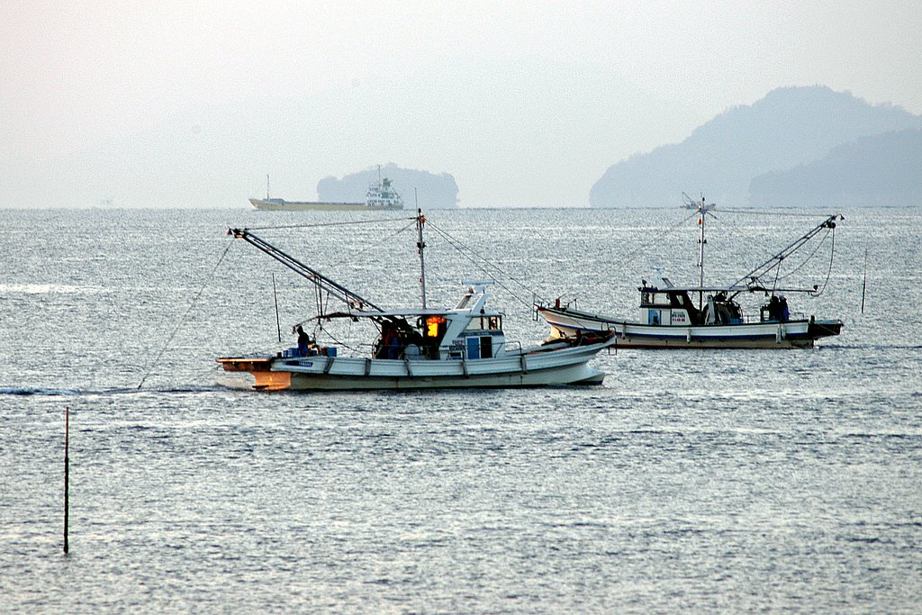 朝の底引き網漁
