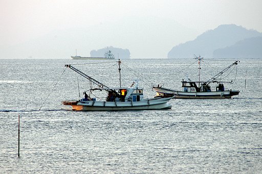 朝の底引き網漁