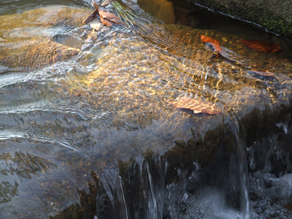 しっとり流れる水