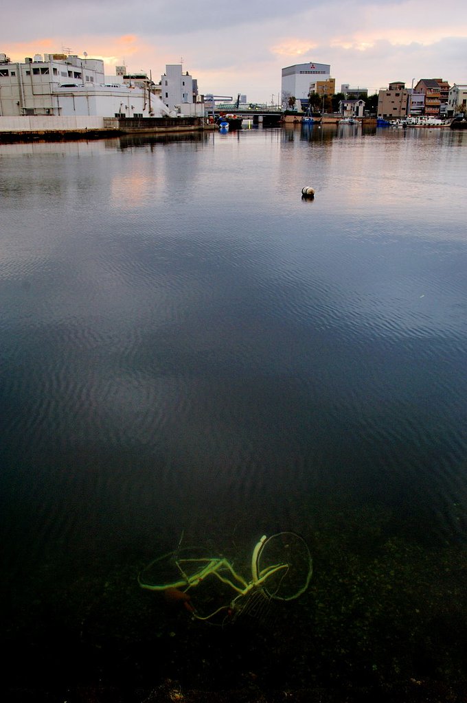 水没・・・う〜ん？