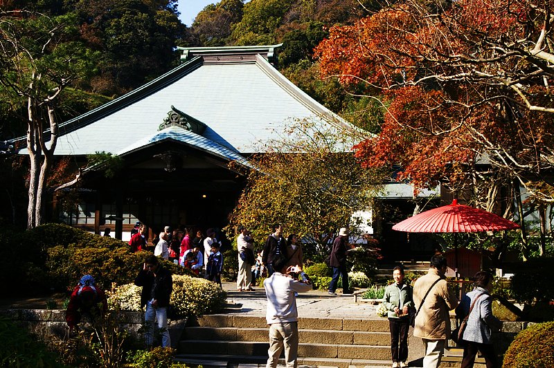境内の紅葉