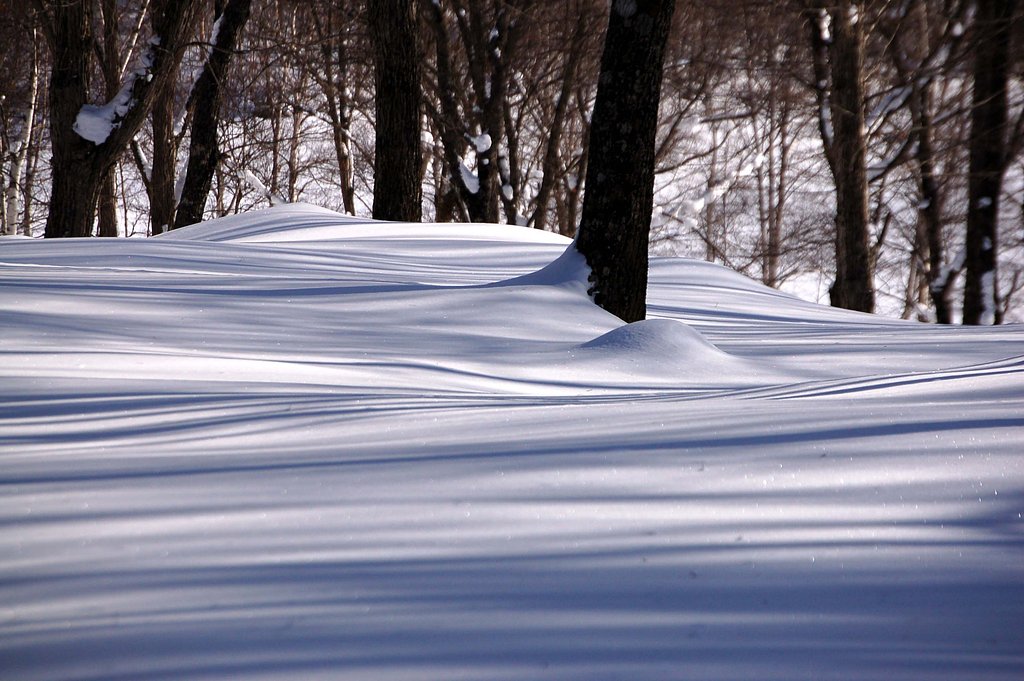 雪の曲線