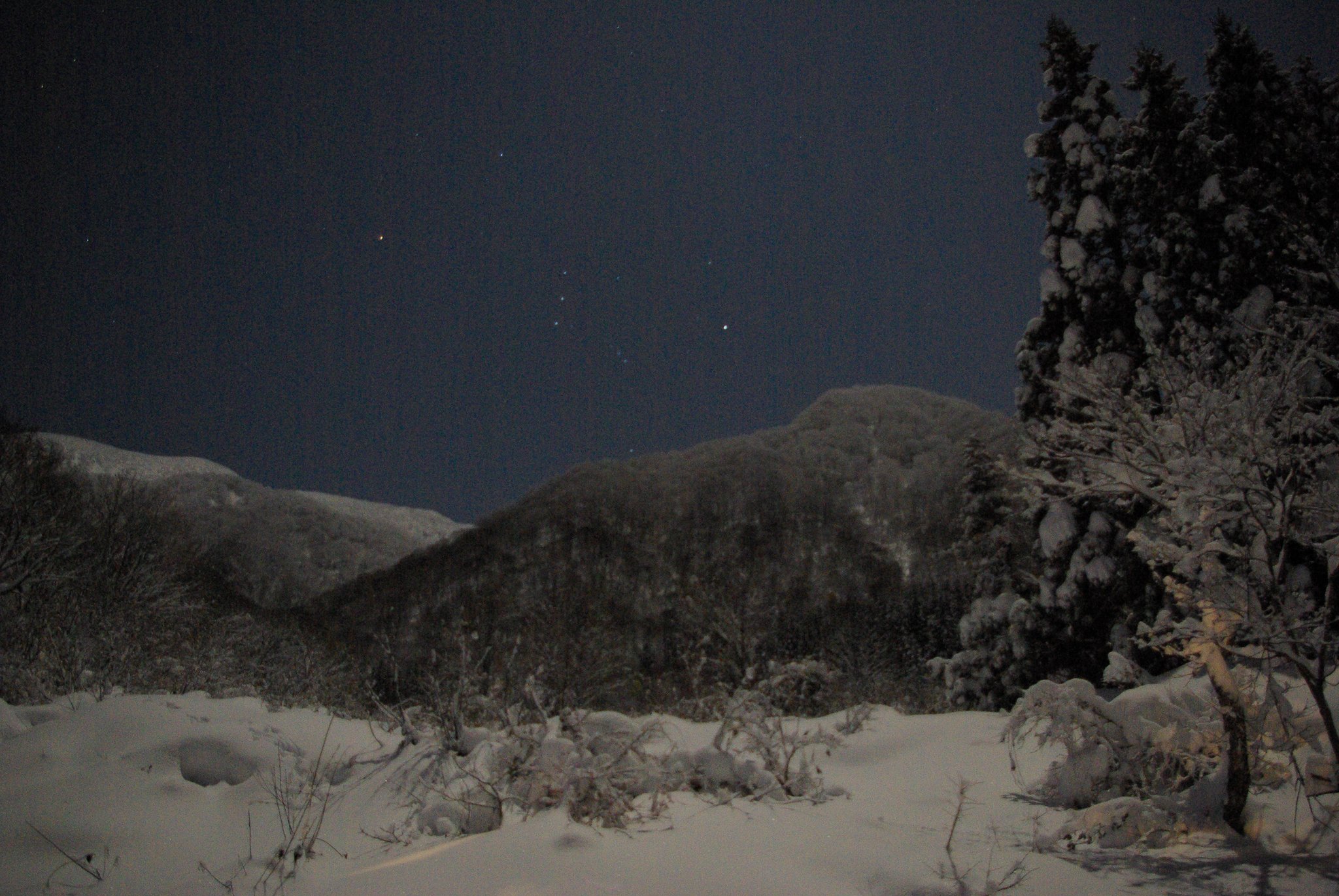 ＩＳＯ１６００の夜