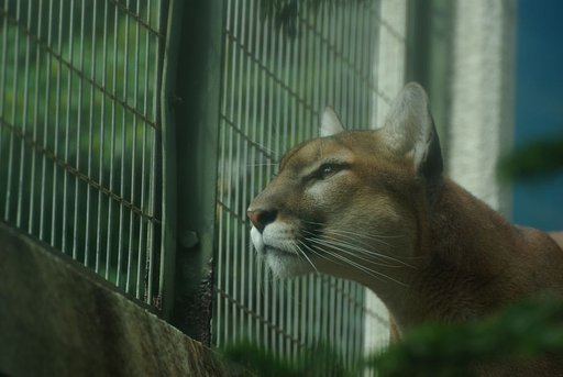 視線の先には…