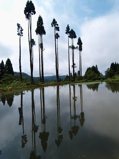 水鏡