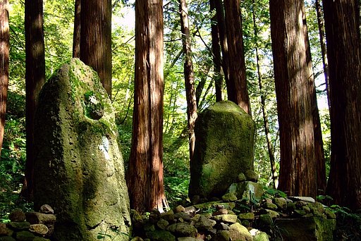 登山客を見送って