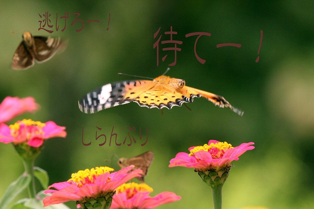 禁断のギャグ