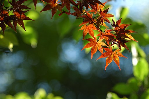 秋を感じて・・・