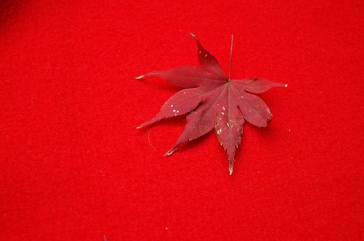 紅の競演