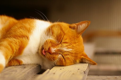 ZZZzzz...