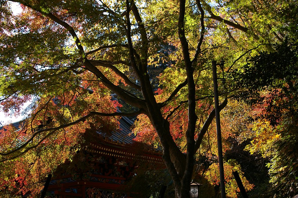 高尾山